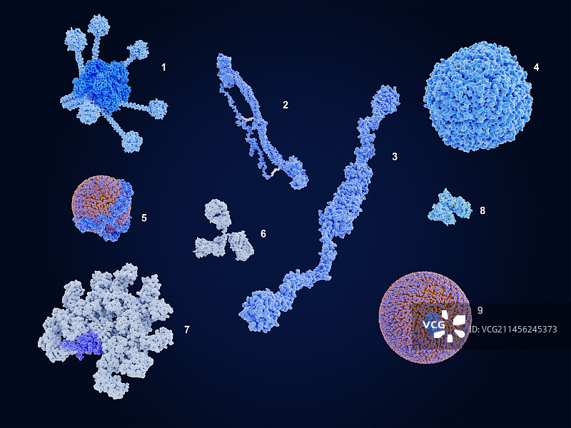 血浆成分图图片素材