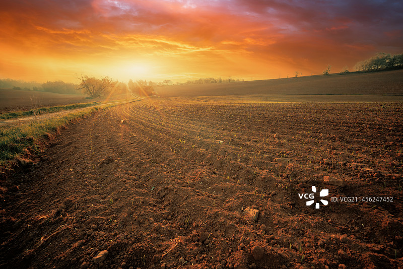 日出时分的耕地图片素材