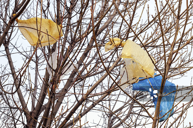 树枝上的塑料袋图片素材