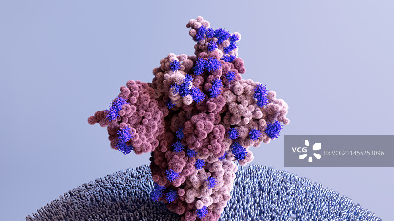 奥密克戎冠状病毒变异株刺突蛋白插图图片素材