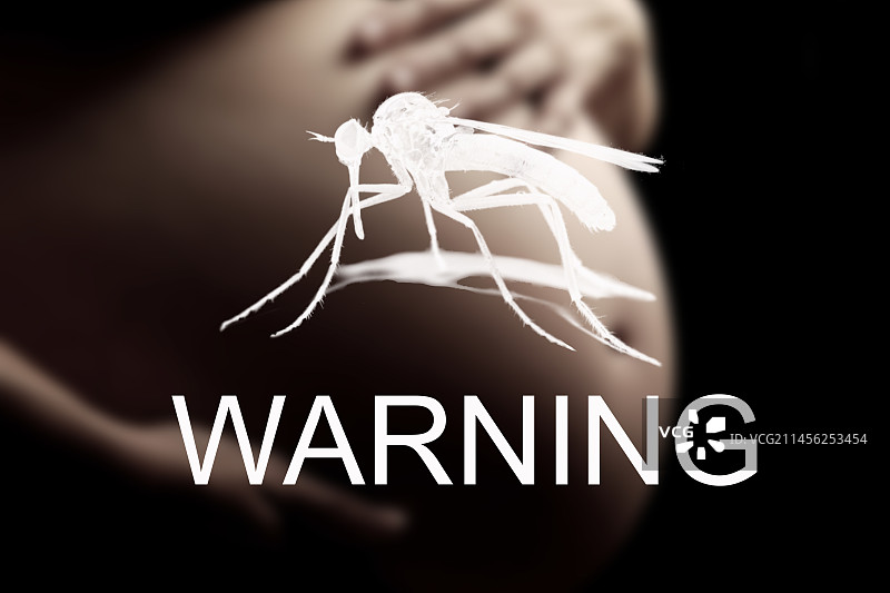 怀孕寨卡病毒危险概念图图片素材