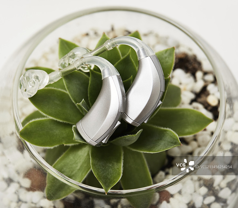 戴着助听器的女人图片素材