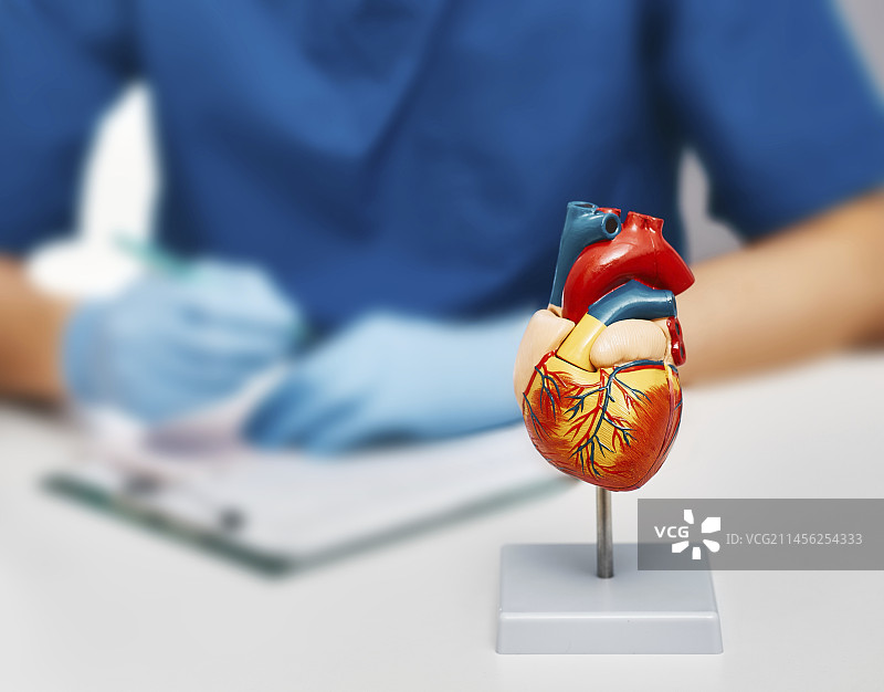 心脏健康概念图图片素材