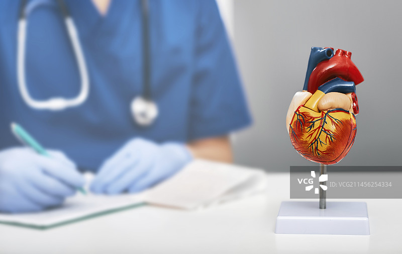 心脏健康概念图图片素材