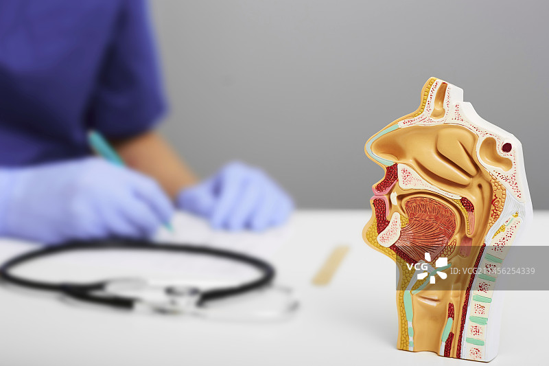 耳鼻喉科咨询概念图图片素材