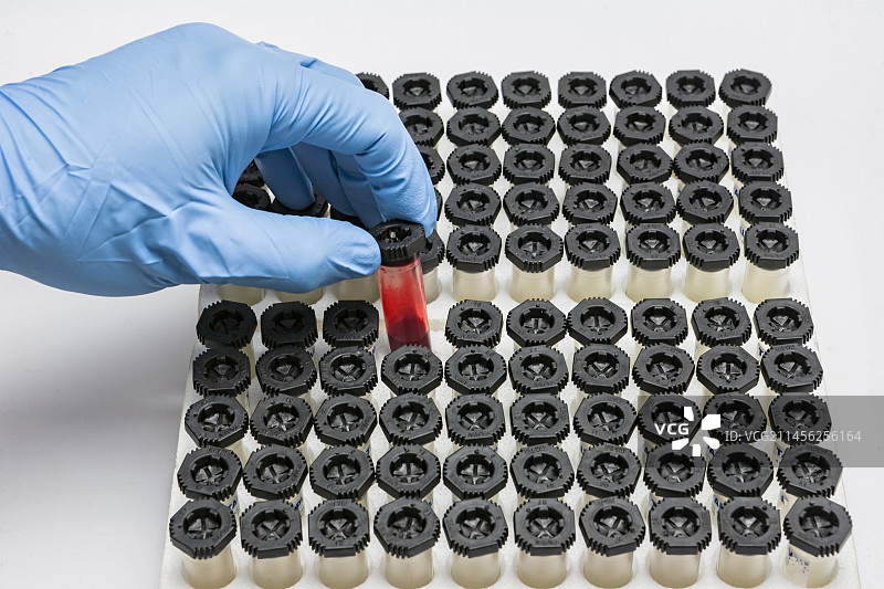 试管架上的血样试管图片素材