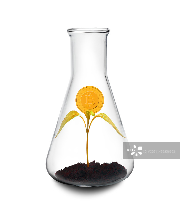 比特币植物概念图图片素材