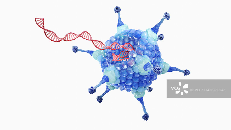 含DNA的腺病毒插图图片素材