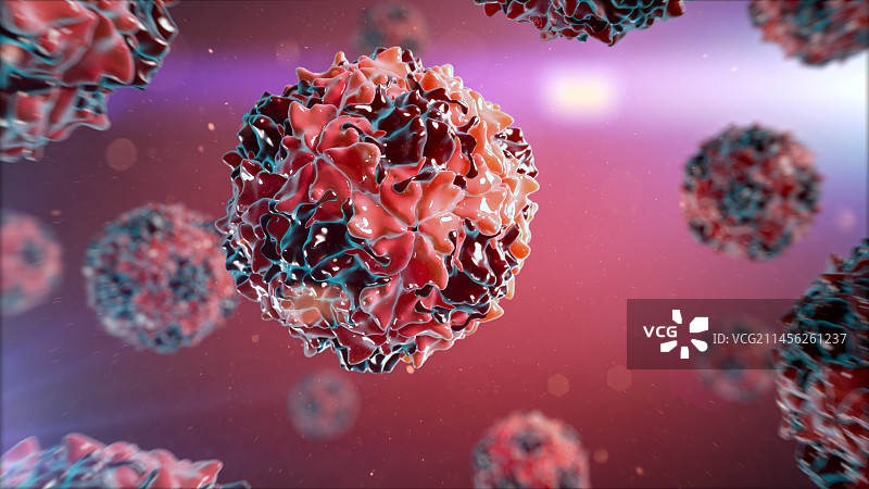 脊髓灰质炎病毒，图示图片素材