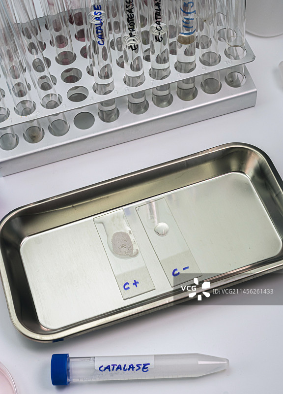 过氧化氢酶测试图片素材