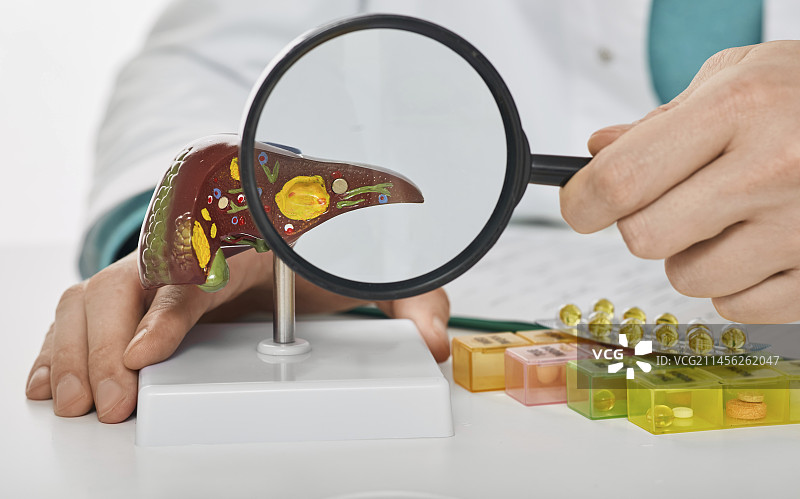 肝脏疾病概念图图片素材