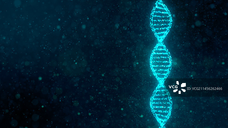 DNA分子，图解图片素材