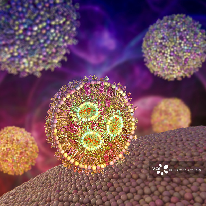 siRNA脂质纳米颗粒抗病毒示意图片素材