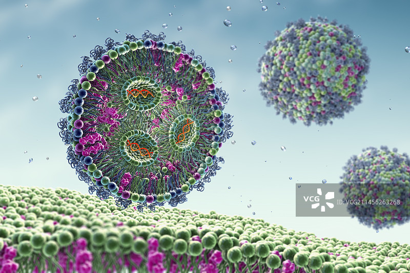 siRNA脂质纳米颗粒抗病毒示意图片素材