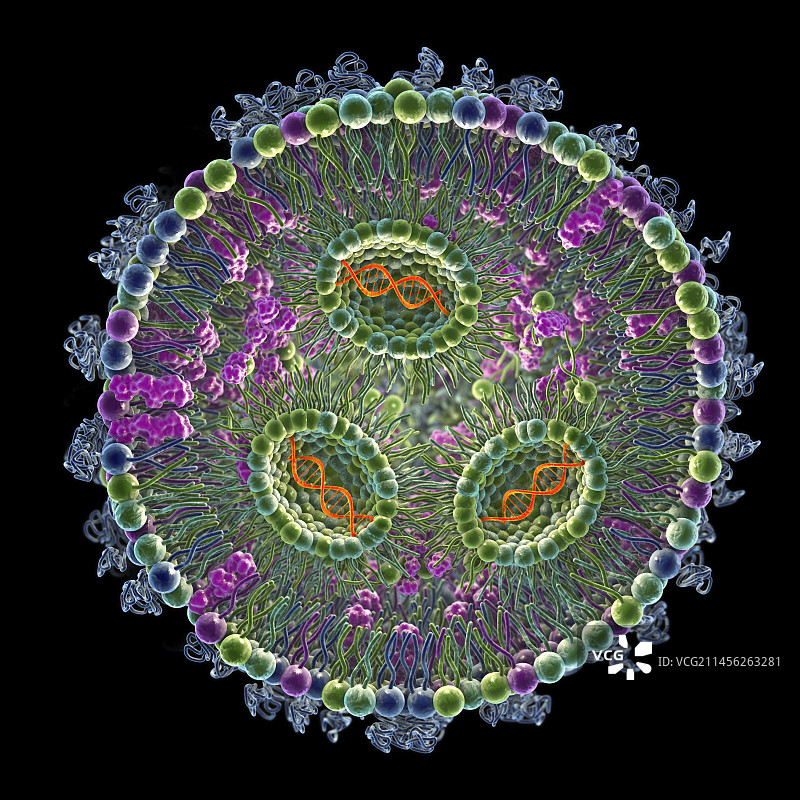 siRNA脂质纳米颗粒抗病毒示意图片素材
