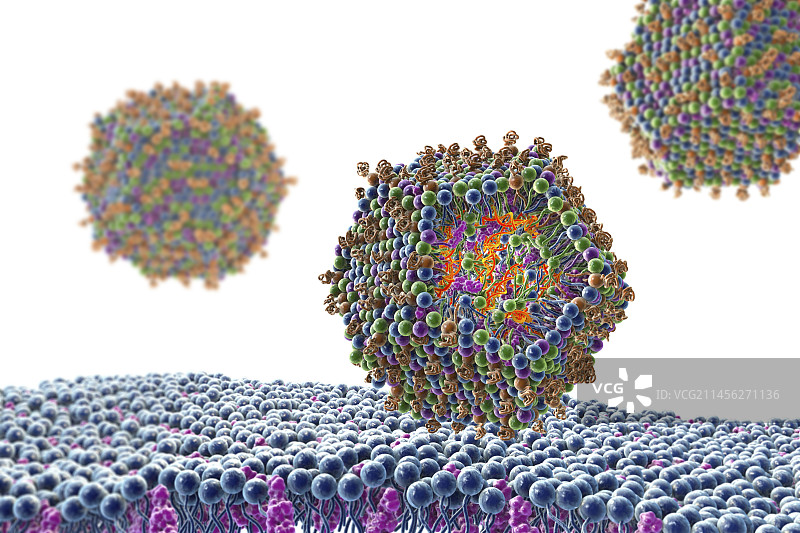 抗病毒siRNA脂质纳米颗粒，图示图片素材
