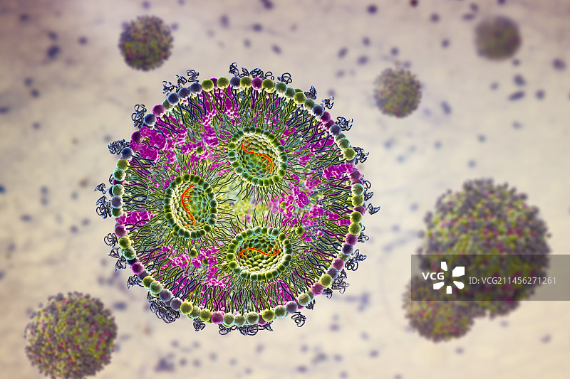 脂质纳米颗粒mRNA疫苗，图示图片素材