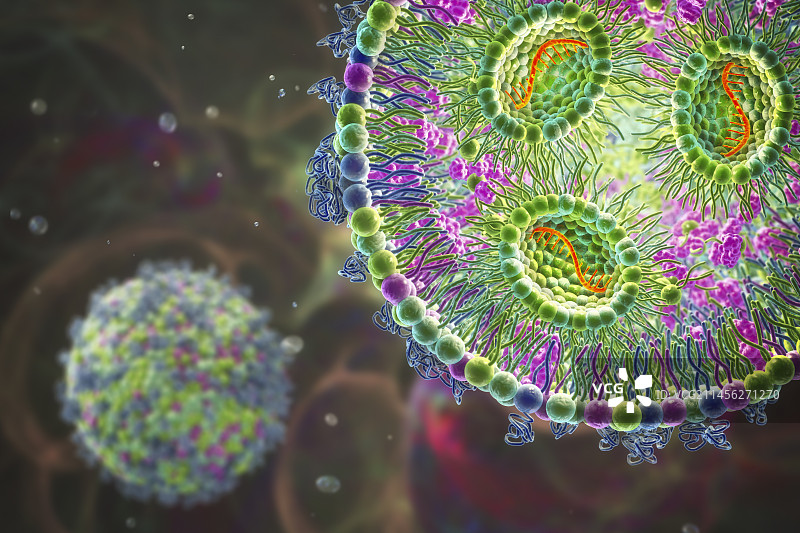 脂质纳米颗粒mRNA疫苗，图示图片素材