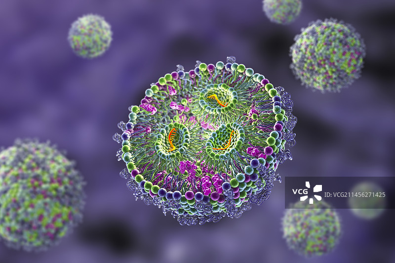 脂质纳米颗粒mRNA疫苗，图示图片素材