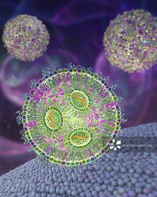 脂质纳米颗粒mRNA疫苗，图示图片素材