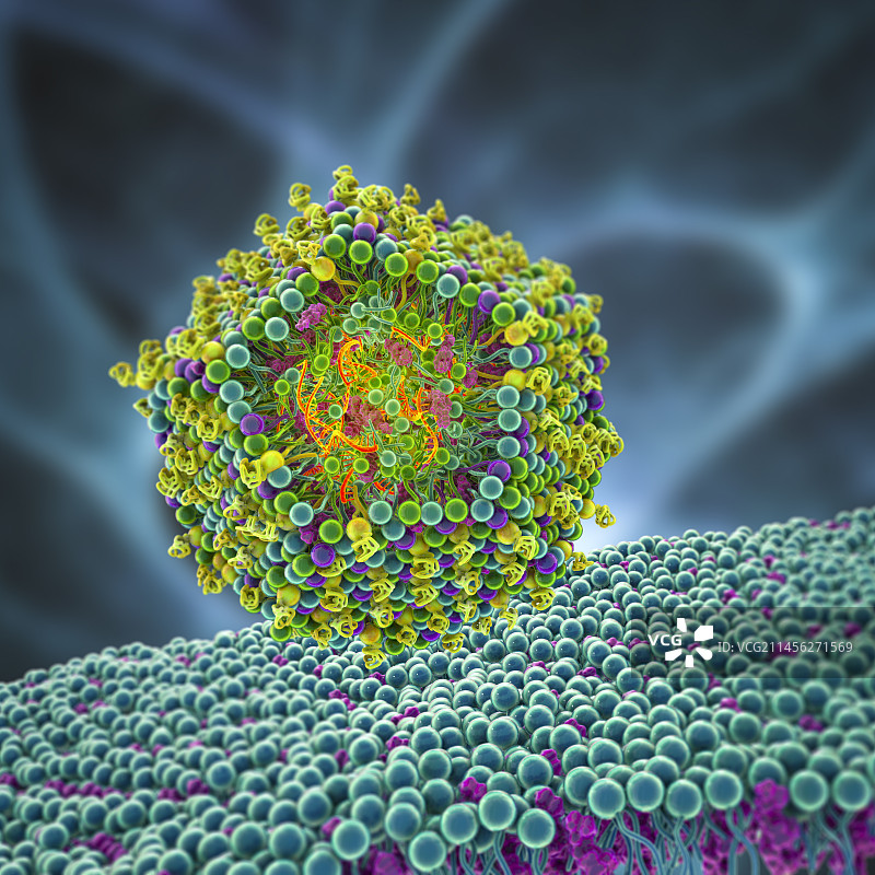 脂质纳米颗粒mRNA疫苗，图示图片素材