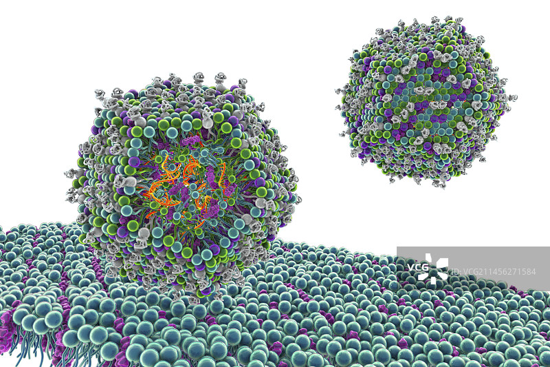脂质纳米颗粒mRNA疫苗，图示图片素材