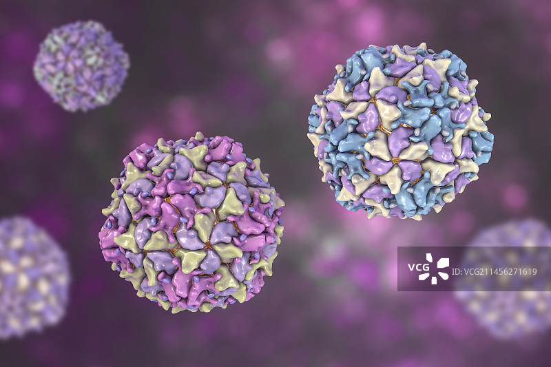 脊髓灰质炎病毒颗粒插画图片素材