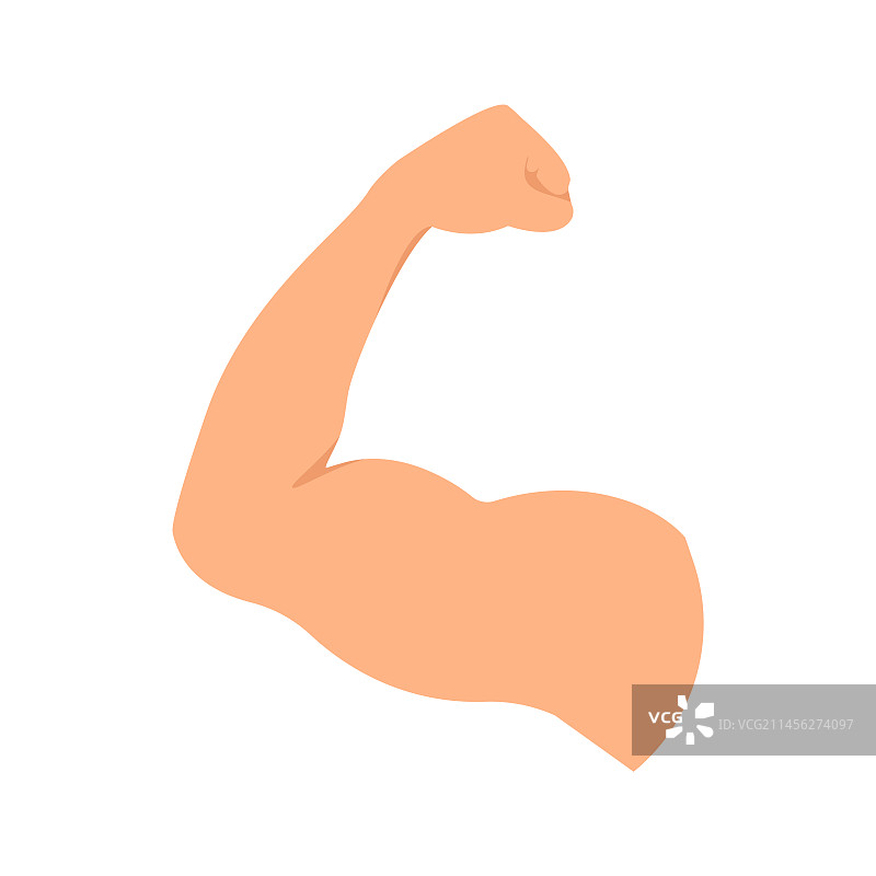 肌肉插画图片素材