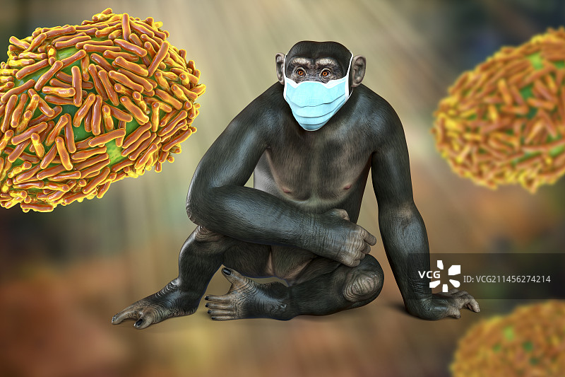 戴口罩的黑猩猩周围的病毒颗粒插图图片素材