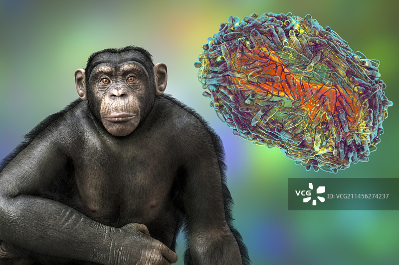 猴痘病毒颗粒和黑猩猩，插图图片素材