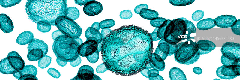 猴痘病毒颗粒图图片素材