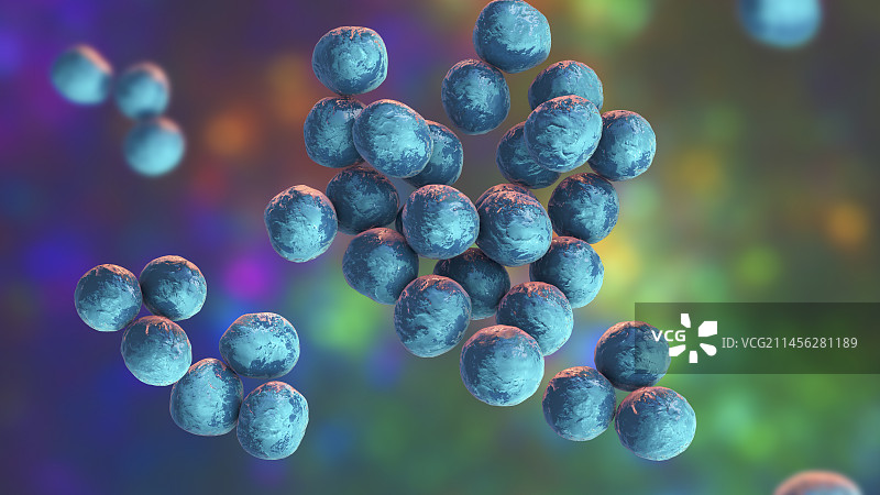 路邓葡萄球菌细菌示意图图片素材