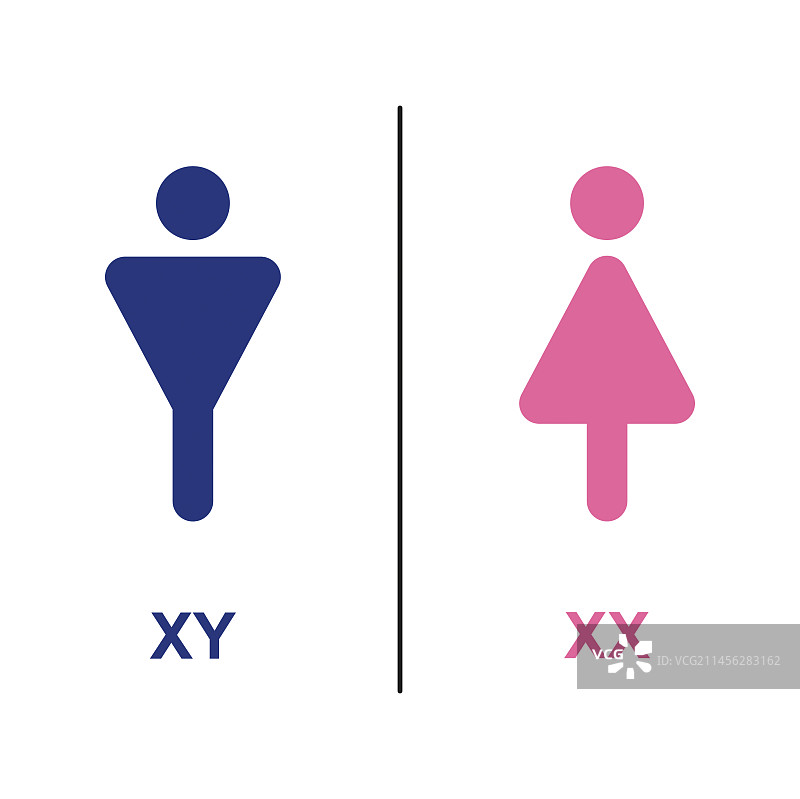 人类性别决定示意图图片素材