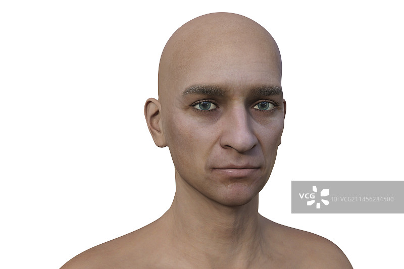 健康的中年男人插画图片素材