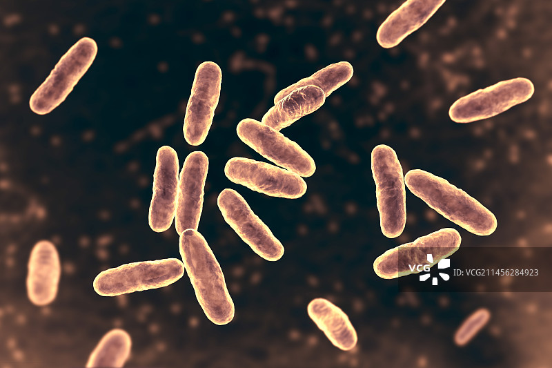 棒状杆菌，图示图片素材