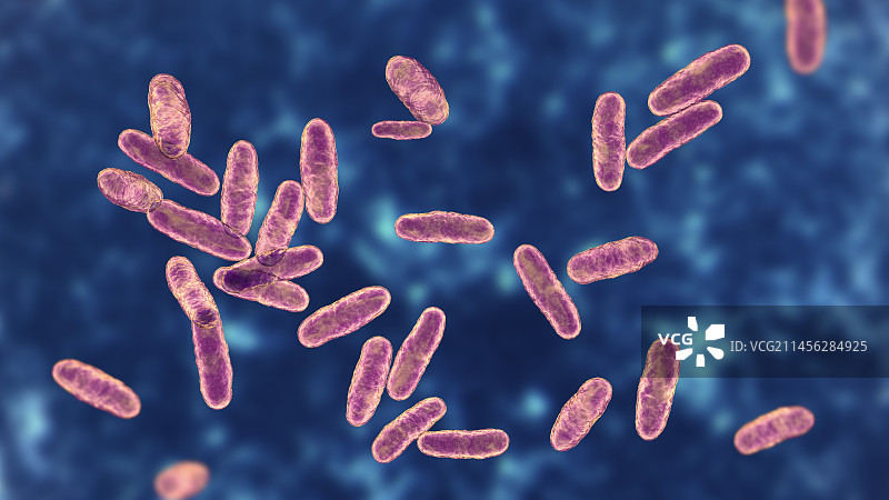棒状杆菌，图示图片素材