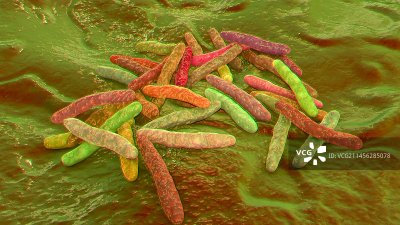 结核杆菌示意图图片素材