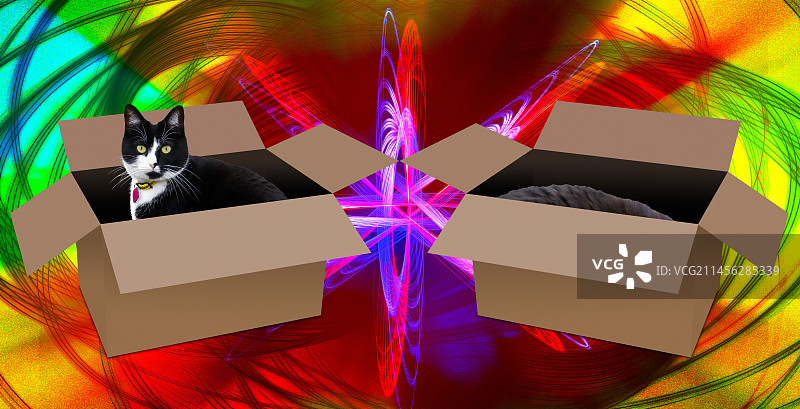 薛定谔的猫合成图图片素材