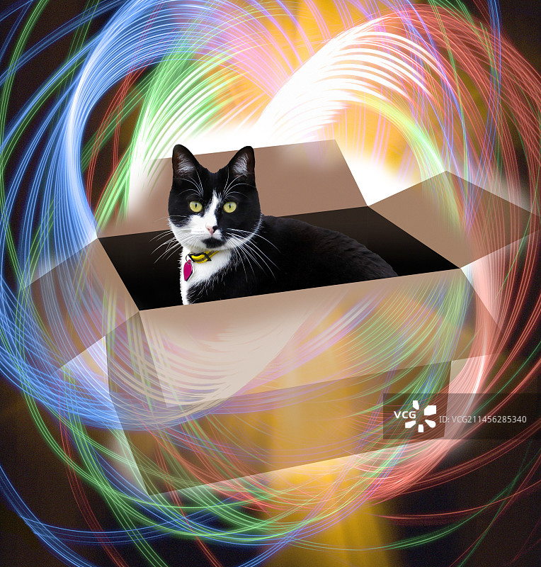 薛定谔的猫合成图图片素材