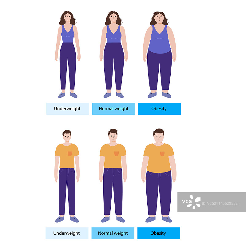 身体质量指数图图片素材