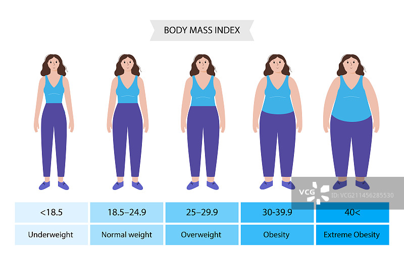 身体质量指数图图片素材