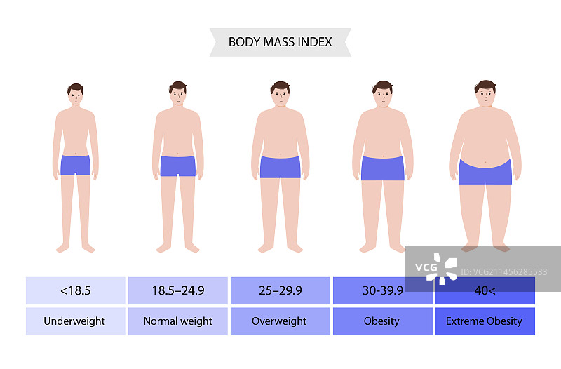 身体质量指数图图片素材