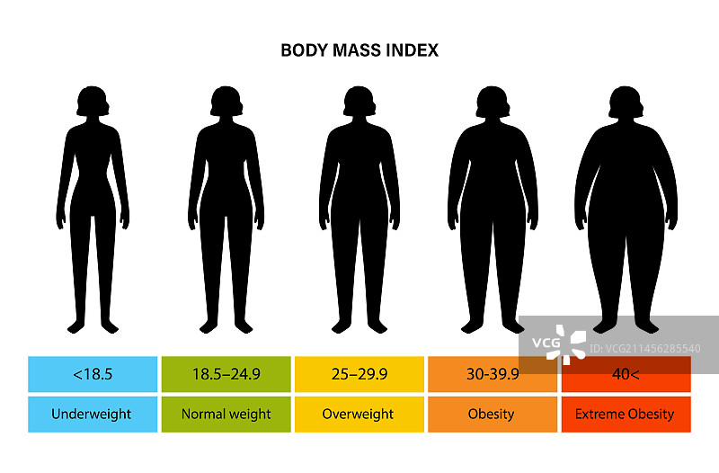 身体质量指数图图片素材