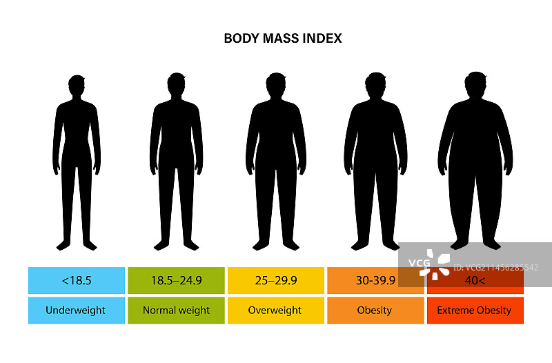 身体质量指数图图片素材