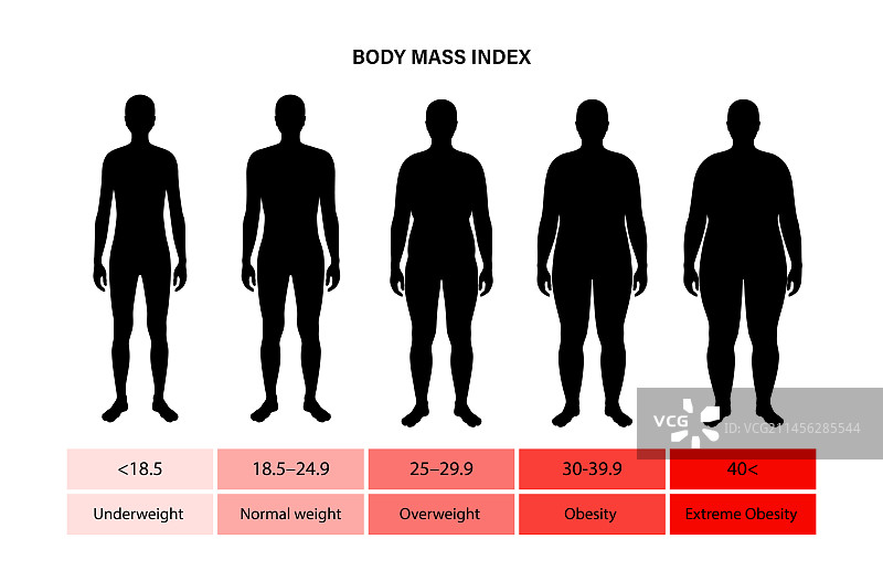 身体质量指数图图片素材
