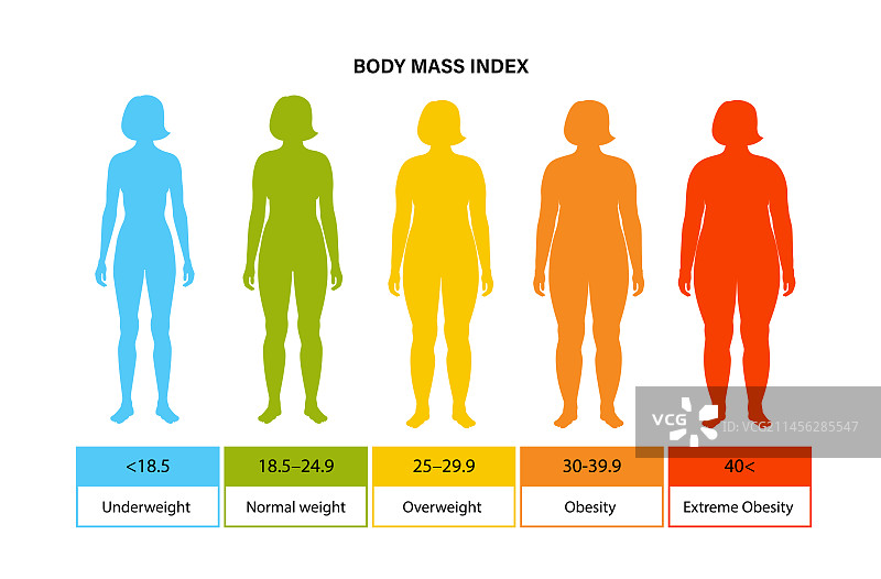 身体质量指数图图片素材