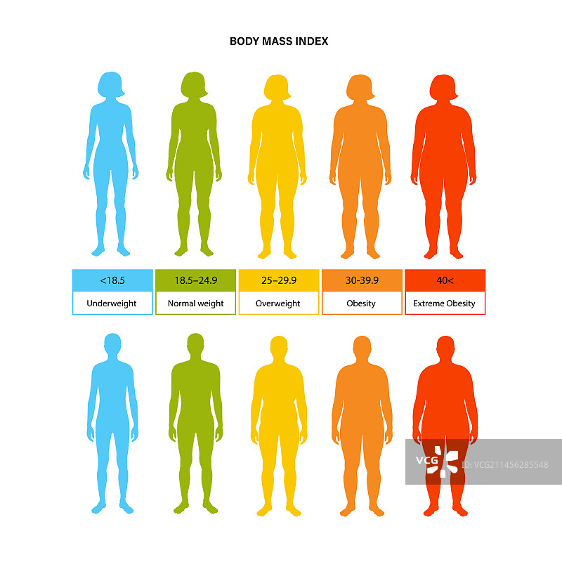 身体质量指数图图片素材