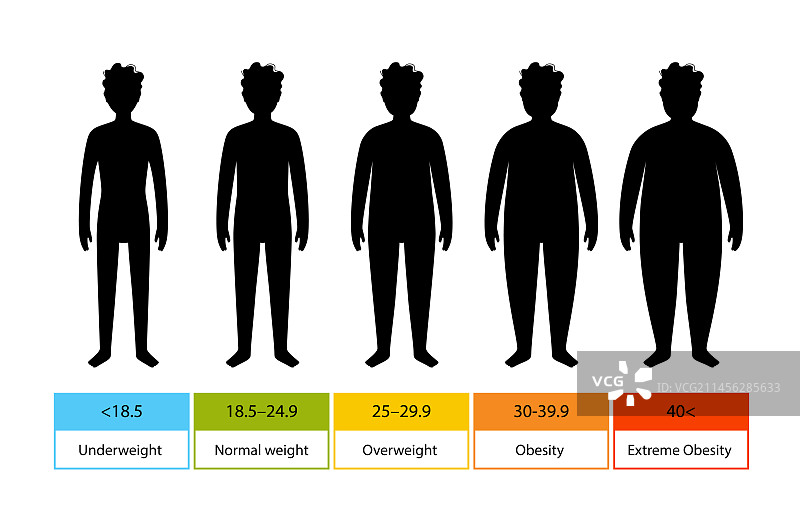 儿童身体质量指数图图片素材