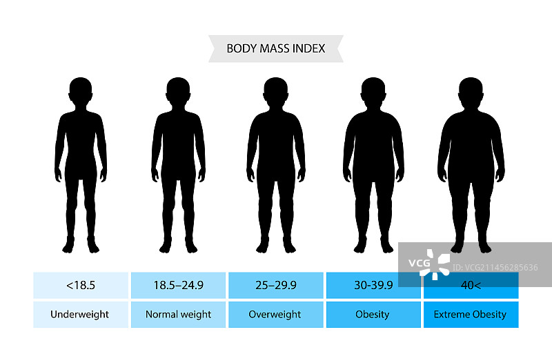 儿童身体质量指数图图片素材
