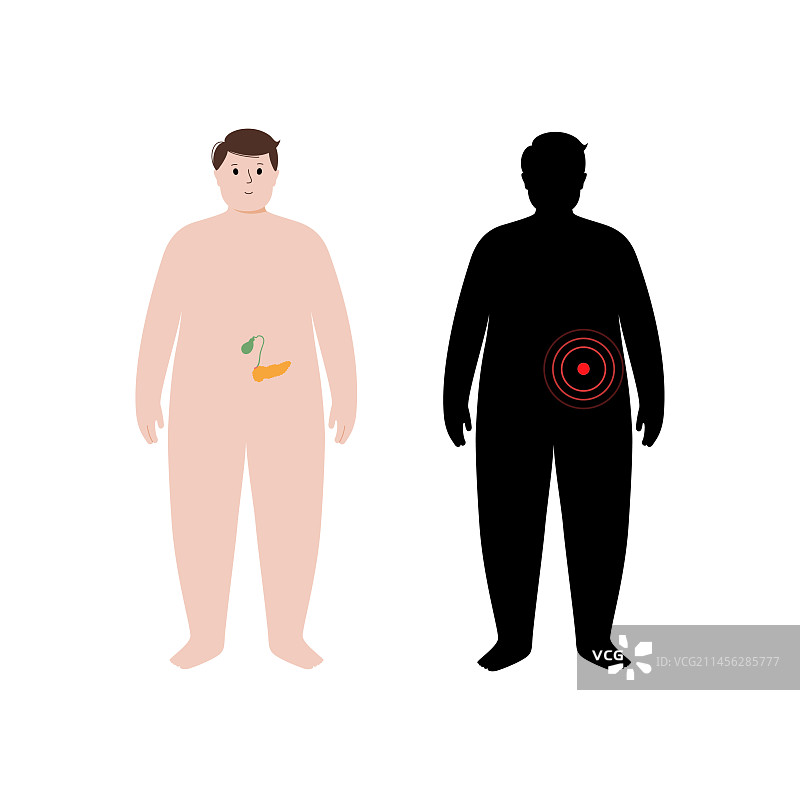 人体器官，图示图片素材